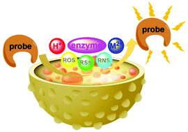 Graphical abstract: Small-molecule fluorescent probes for specific detection and imaging of chemical species inside lysosomes