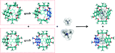 Graphical abstract: A 2,3-dialkoxynaphthalene-based naphthocage