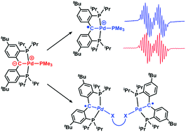 Graphical abstract: Oxidation reactions of a nucleophilic palladium carbene: mono and bi-radical carbenes