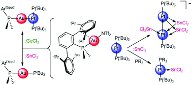 Graphical abstract: Reactivity of a gold(i)/platinum(0) frustrated Lewis pair with germanium and tin dihalides