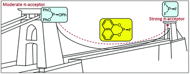 Graphical abstract: Ring size effects in cyclic fluorophosphites: ligands that span the bonding space between phosphites and PF3