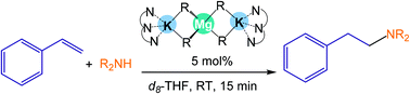 Graphical abstract: Alkali metal and stoichiometric effects in intermolecular hydroamination catalysed by lithium, sodium and potassium magnesiates