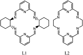 Graphical abstract: Chirality transfer between hexaazamacrocycles in heterodinuclear rare earth complexes