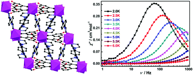 Graphical abstract: Field-induced slow magnetic relaxation in two-dimensional and three-dimensional Co(ii) coordination polymers