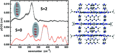 Graphical abstract: Vibrational properties and cooperativity of the 3D spin crossover network [Fe(pyrazine)][Pt(CN)4]