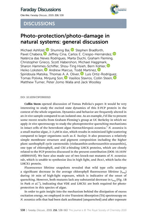 Photo-protection/photo-damage in natural systems: general discussion