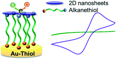 Graphical abstract: The influence of 2D nanomaterials on electron transfer across molecular thin films