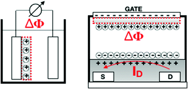 Graphical abstract: About the amplification factors in organic bioelectronic sensors