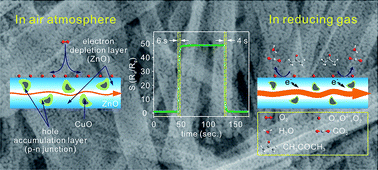 Graphical abstract: Enhanced chemiresistive sensing performance of well-defined porous CuO-doped ZnO nanobelts toward VOCs