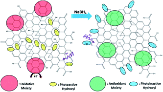 Graphical abstract: Antimicrobial activity of graphene oxide quantum dots: impacts of chemical reduction