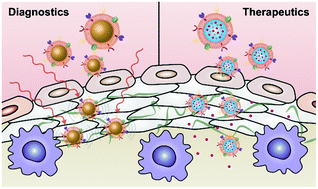 Graphical abstract: Biomimetic nanoparticle technology for cardiovascular disease detection and treatment