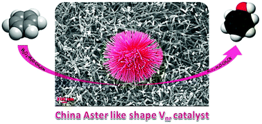 Graphical abstract: Selective catalytic oxidation of benzene to phenol by a vanadium oxide nanorod (Vnr) catalyst in CH3CN using H2O2(aq) and pyrazine-2-carboxylic acid (PCA)