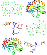 Graphical abstract: Hydrocinnamic acid produced by Enterobacter xiangfangensis impairs AHL-based quorum sensing and biofilm formation in Pseudomonas aeruginosa