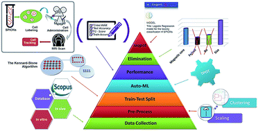 Graphical abstract: QSAR modeling of the toxicity classification of superparamagnetic iron oxide nanoparticles (SPIONs) in stem-cell monitoring applications: an integrated study from data curation to model development