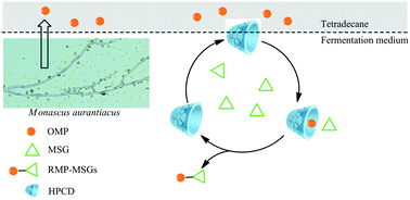 Graphical abstract: Merging of a chemical reaction with microbial metabolism via inverse phase transfer catalysis for efficient production of red Monascus pigments