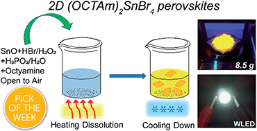 Graphical abstract: Aqueous acid-based synthesis of lead-free tin halide perovskites with near-unity photoluminescence quantum efficiency