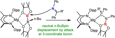 Graphical abstract: Snapshots of magnesium-centred diborane heterolysis by an outer sphere SN2 process