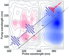 Graphical abstract: Two-dimensional UV spectroscopy: a new insight into the structure and dynamics of biomolecules