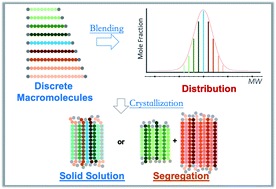 Graphical abstract: Precise modulation of molecular weight distribution for structural engineering