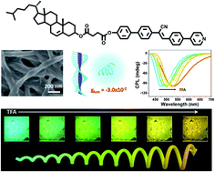 Graphical abstract: Multi-color tunable circularly polarized luminescence in one single AIE system