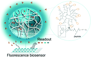 Graphical abstract: Highly sensitive detection of antibodies in a soft bioactive three-dimensional bioorthogonal hydrogel