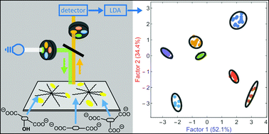 Graphical abstract: Disposable paper strips for carboxylate discrimination