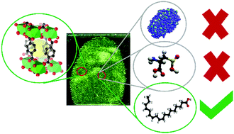 Graphical abstract: Fatty acids as biomimetic replication agents for luminescent metal–organic framework patterns