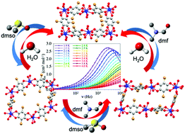 Graphical abstract: Slow relaxation of the magnetization, reversible solvent exchange and luminescence in 2D anilato-based frameworks