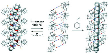 Graphical abstract: Guest-dependent single-crystal-to-single-crystal transformations in porous adamantane-bearing macrocycles