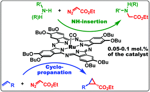 Graphical abstract: Selective carbene transfer to amines and olefins catalyzed by ruthenium phthalocyanine complexes with donor substituents