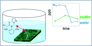 Graphical abstract: Interactions with freshwater biofilms cause rapid removal of common herbicides through degradation – evidence from microcosm studies