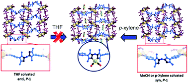 Graphical abstract: MOF matrix isolation: cooperative conformational mobility enables reliable single crystal transformations