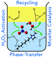 Graphical abstract: Activation of hydrogen peroxide by the nitrate anion in micellar media