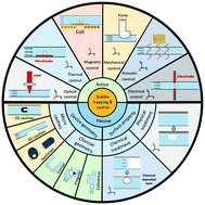 Graphical abstract: Trapping and control of bubbles in various microfluidic applications
