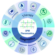 Graphical abstract: Rational design of semiconducting polymer brushes as cancer theranostics