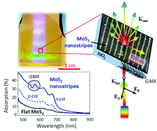 Graphical abstract: Ultra-broadband photon harvesting in large-area few-layer MoS2 nanostripe gratings