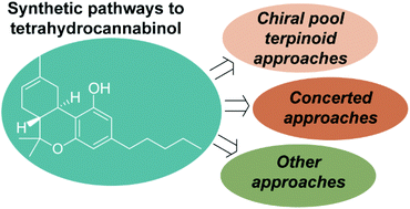 Graphical abstract: Synthetic pathways to tetrahydrocannabinol (THC): an overview