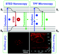 Graphical abstract: An easily synthesized AIE luminogen for lipid droplet-specific super-resolution imaging and two-photon imaging