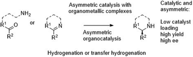 Graphical abstract: A diversity of recently reported methodology for asymmetric imine reduction