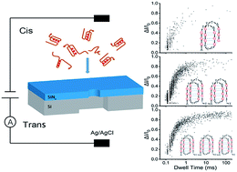 Graphical abstract: Label-free single-molecule identification of telomere G-quadruplexes with a solid-state nanopore sensor