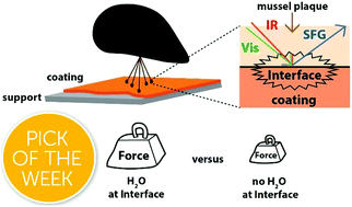 Graphical abstract: Surface hydration for antifouling and bio-adhesion