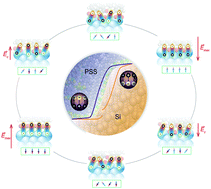 Graphical abstract: Ferroelectric-like organic–inorganic interfaces