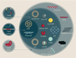 Graphical abstract: Non-viral delivery of the CRISPR/Cas system: DNA versus RNA versus RNP