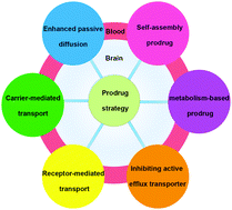 Graphical abstract: Prodrug strategy for enhanced therapy of central nervous system disease