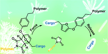 Graphical abstract: 5-Aryloxy substitution enables efficient mechanically triggered release from a synthetically accessible masked 2-furylcarbinol mechanophore