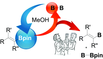 Graphical abstract: Transborylation of alkenylboranes with diboranes