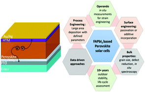 Graphical abstract: Substance and shadow of formamidinium lead triiodide based solar cells