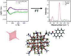 Graphical abstract: Impact of vibronic coupling effects on light-driven charge transfer in pyrene-functionalized middle and large-sized metalloid gold nanoclusters from Ehrenfest dynamics