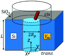 Graphical abstract: Brownian dynamics of cylindrical capsule-like particles in a nanopore in an electrically biased solid-state membrane