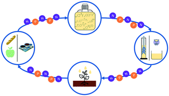 Graphical abstract: Application of plasma for the removal of pharmaceuticals in synthetic urine